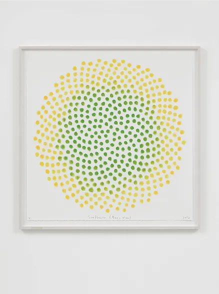 Spencer Finch, Sunflower (Bee's View, Zebulon)