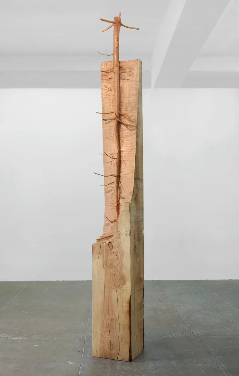 Giuseppe Penone, Nel legno