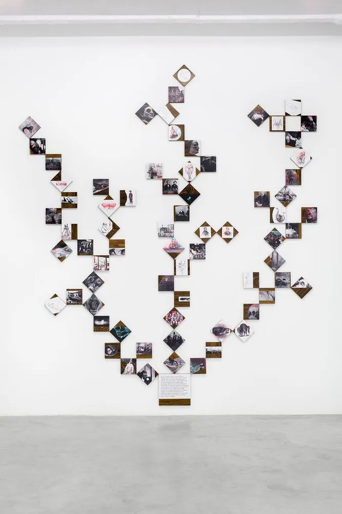 Iñaki Bonillas, the encyclopedia of the dead: darwin