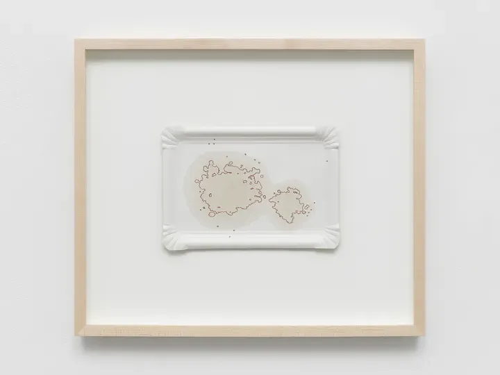 Mona Hatoum, Des/astres (2)