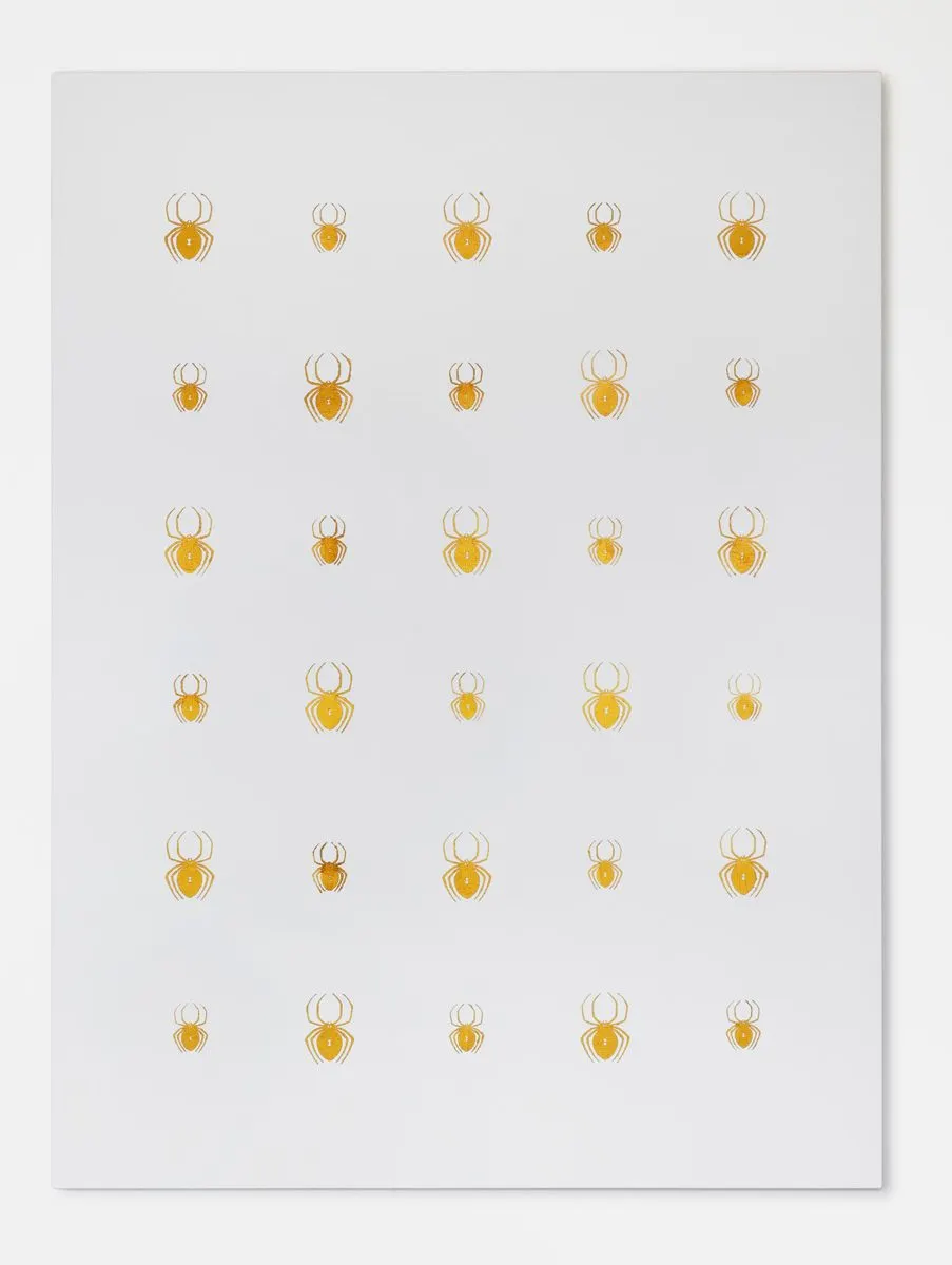 John Armleder, Atrax robustum