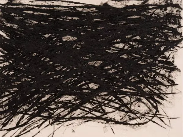 Gerald Ferguson, 50Ft. Rope