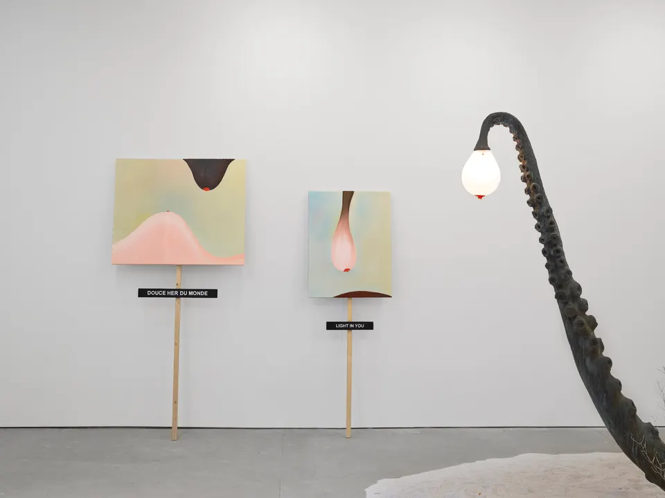 Laure Prouvost, Landed Here To Sea You With All Our Very Breasts