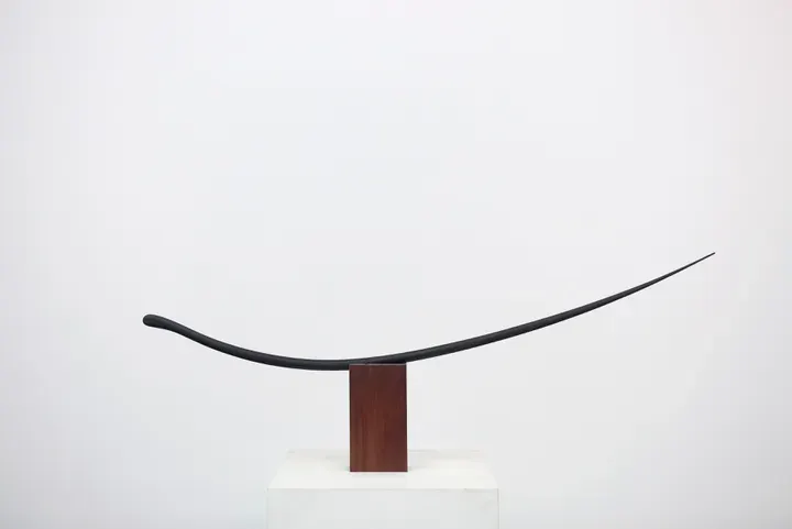 Shao Fan, Ming-style Eyelash