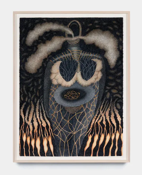 Ann Leda Shapiro, Smoke from Wildfires