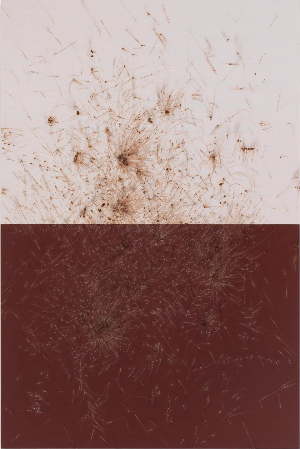 Thomas Wachholz, LUCIFER C (Reibfläche)