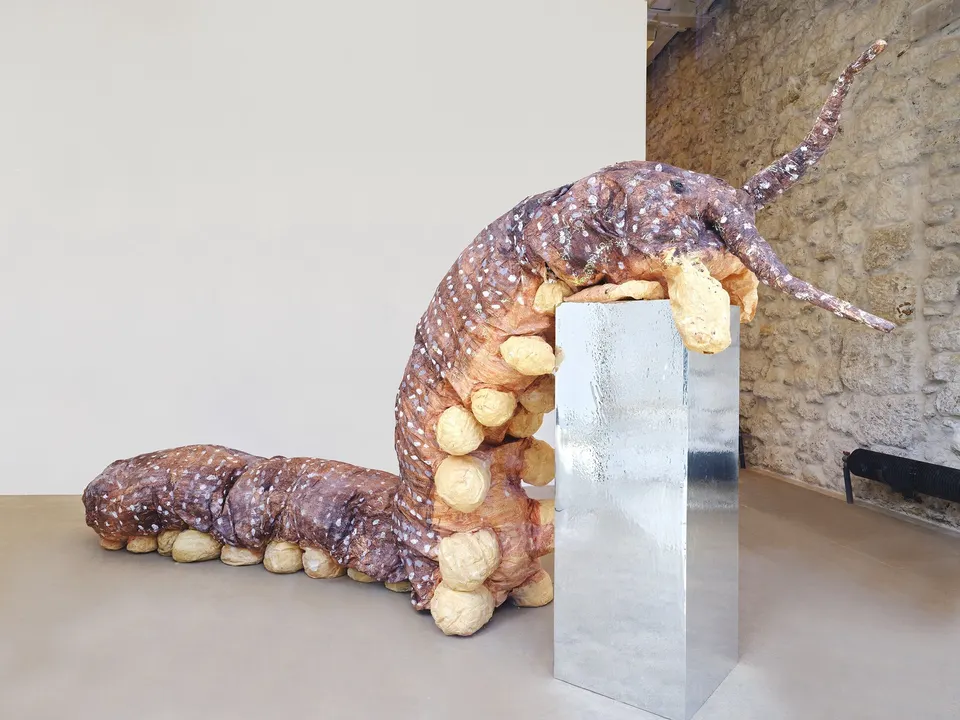 Monster Chetwynd, Velvet worm