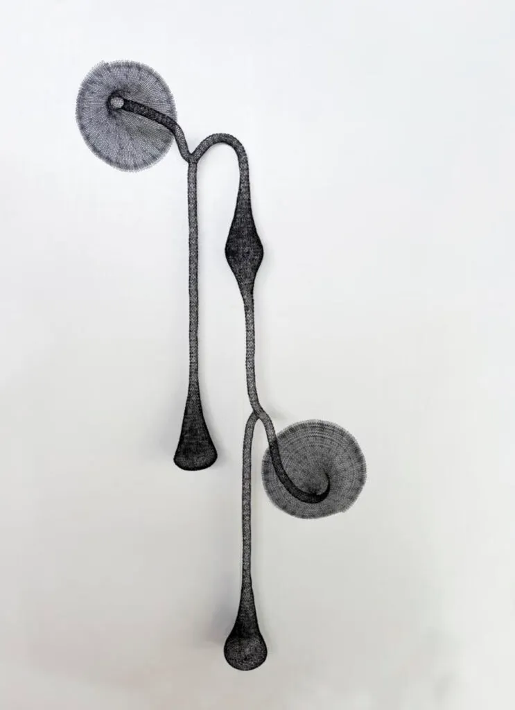Caio Marcolini, CLN 224,série colônia