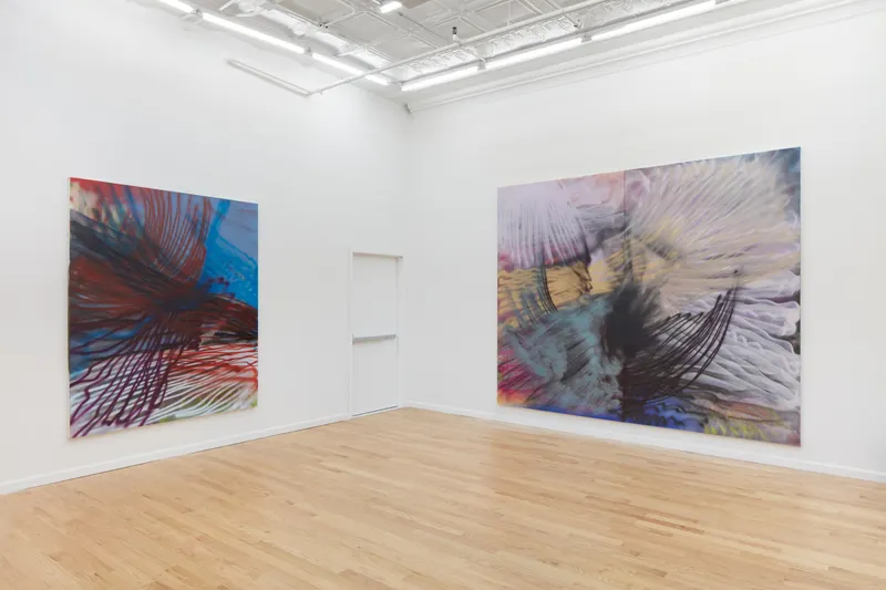 Andrea Marie Breiling, Eyes To The Wind, installation view, Broadway Gallery, New York, NY