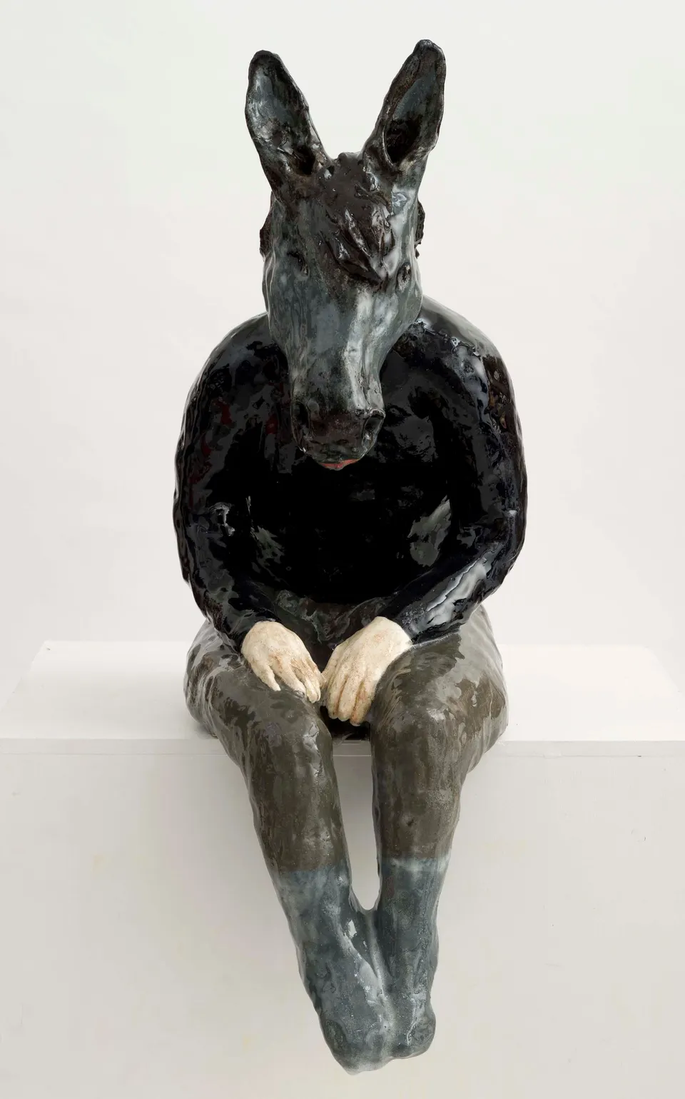 Klara Kristalova, Donkey