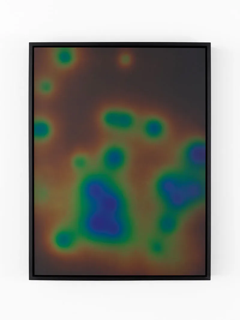 Agnieszka Kurant, Conversions 5
