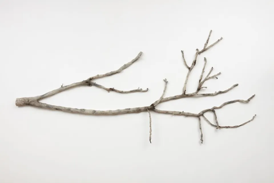 Clarissa Tossin, Rising Temperature Casualty (Prunus persica var. nucipersica, home garden, Los Angeles)