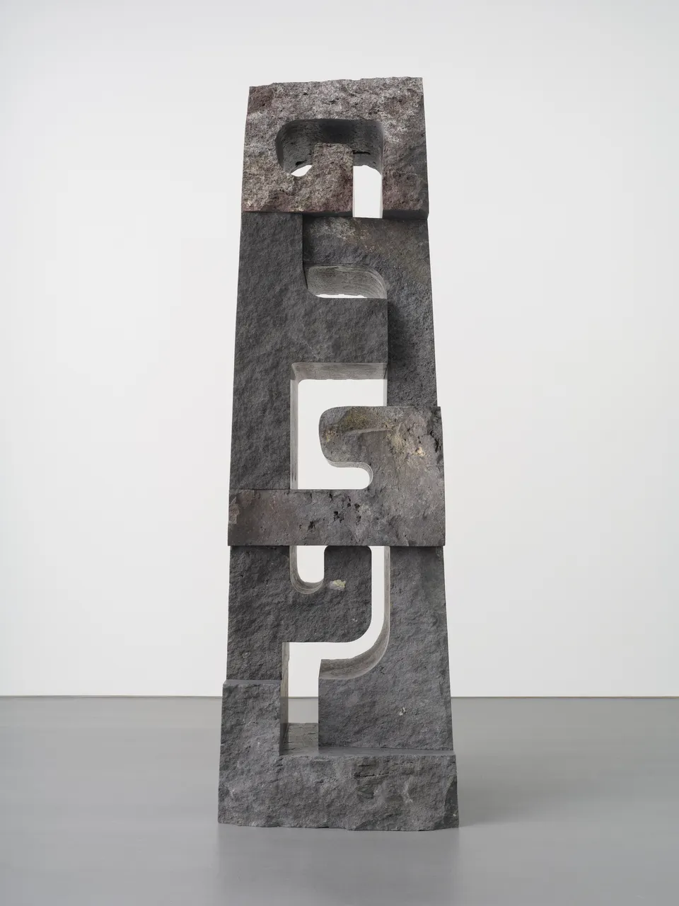 Pedro Reyes, Tlatoani