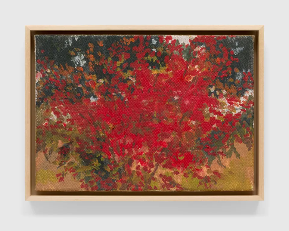 Merrill Wagner, November #19