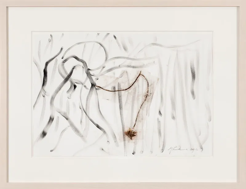 Giuseppe Penone, Foglie