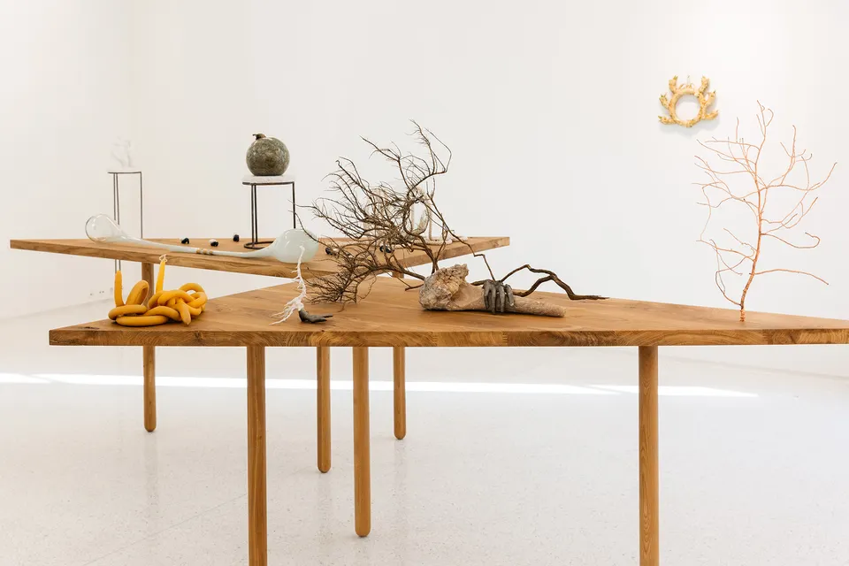 Kelly Akashi, Installation view of Kelly Akashi: a thing among things