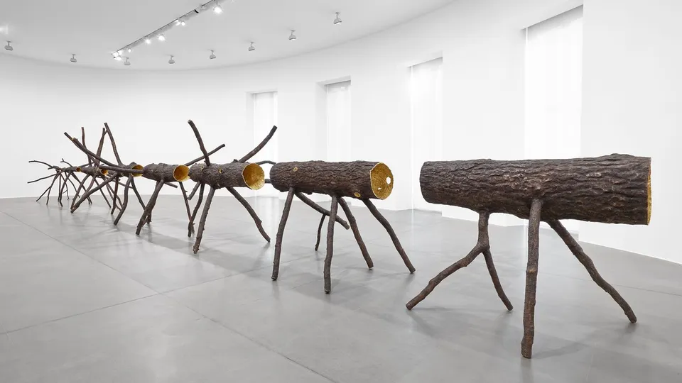 Giuseppe Penone, Giuseppe Penone Spazio di luce (Space of Light)
