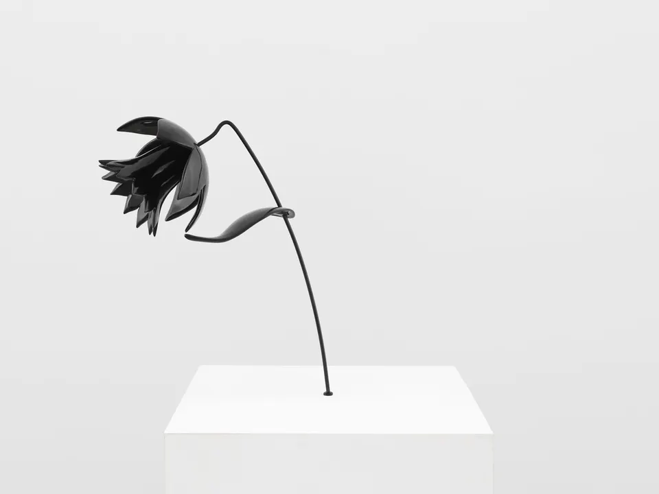 Julie Curtiss, Windswept Daffodil