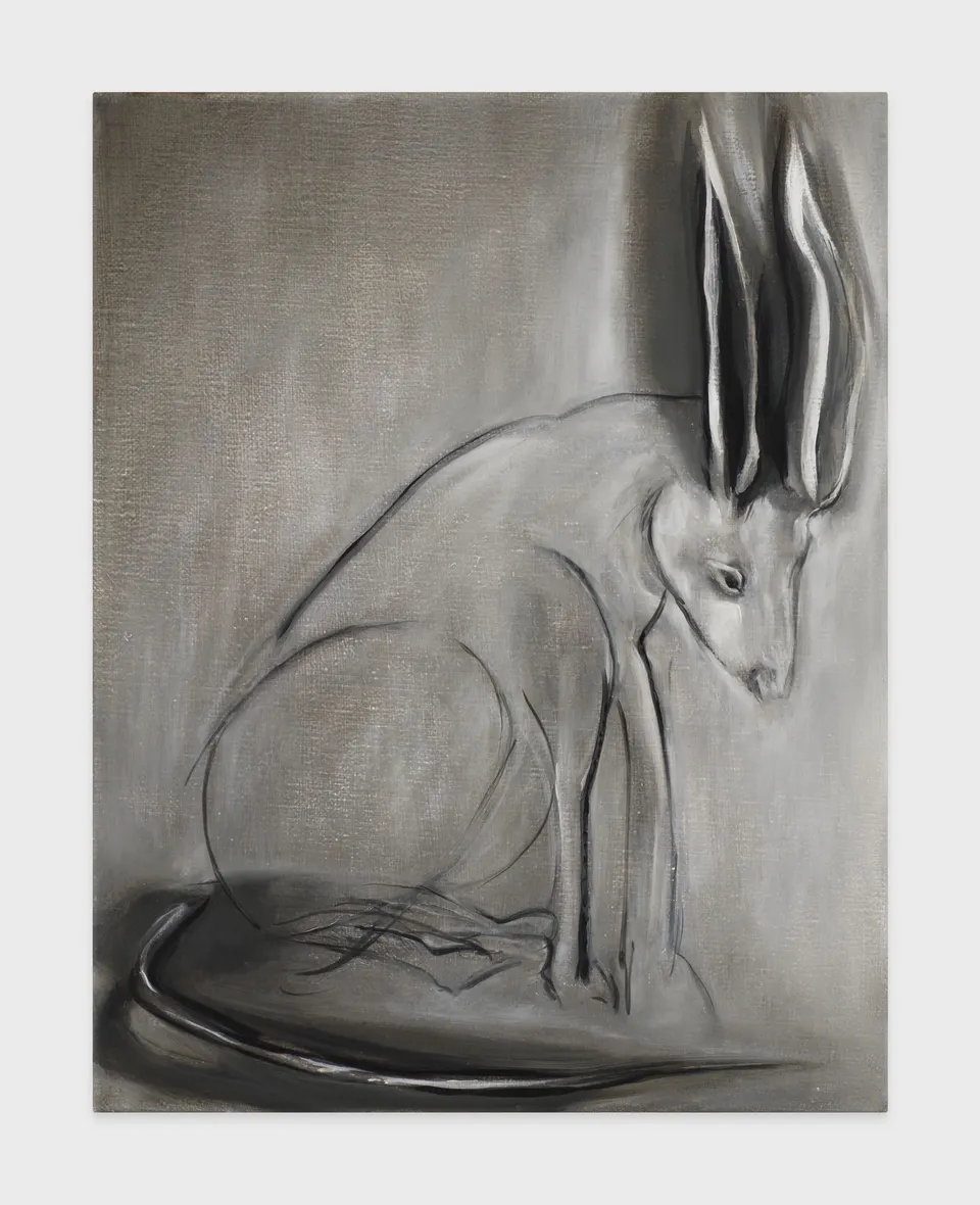 Emma Webster, Wily Drawing