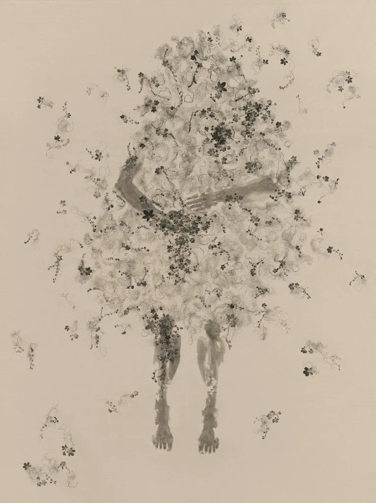 Clarissa Tossin, Piante Vagabonde: Cinquefoglia e Sherardia, Rome / Ervas Daninhas: Cincoenrama e Sherardia, Roma Weeds: Cinquefoil and Field Madder, Rome