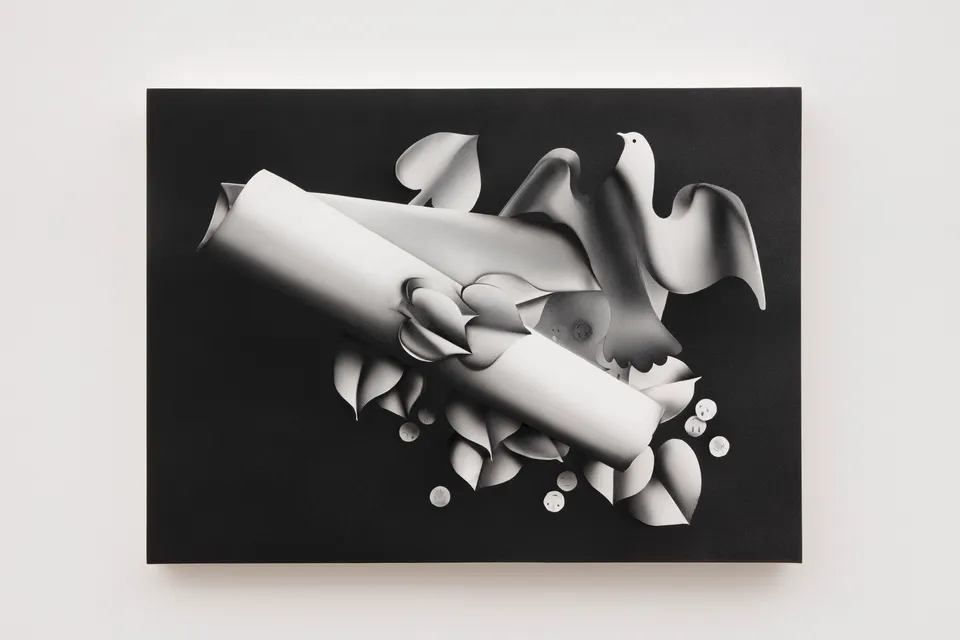 Kara Joslyn, No Doves Fly Here