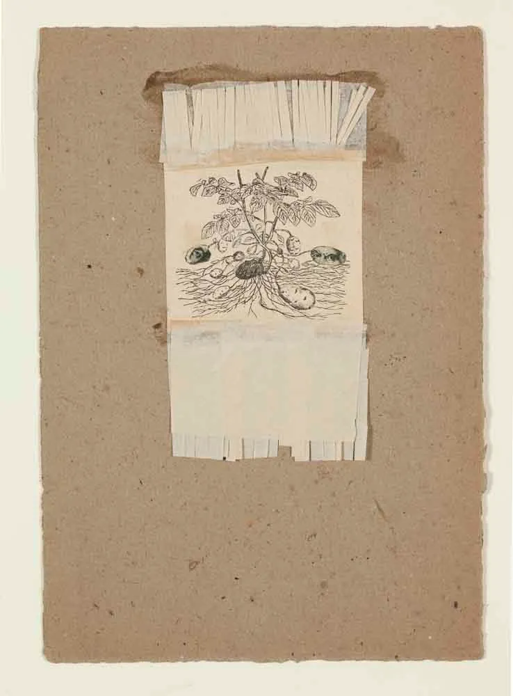 ROBERT RAUSCHENBERG, Untitled [potatoes]
