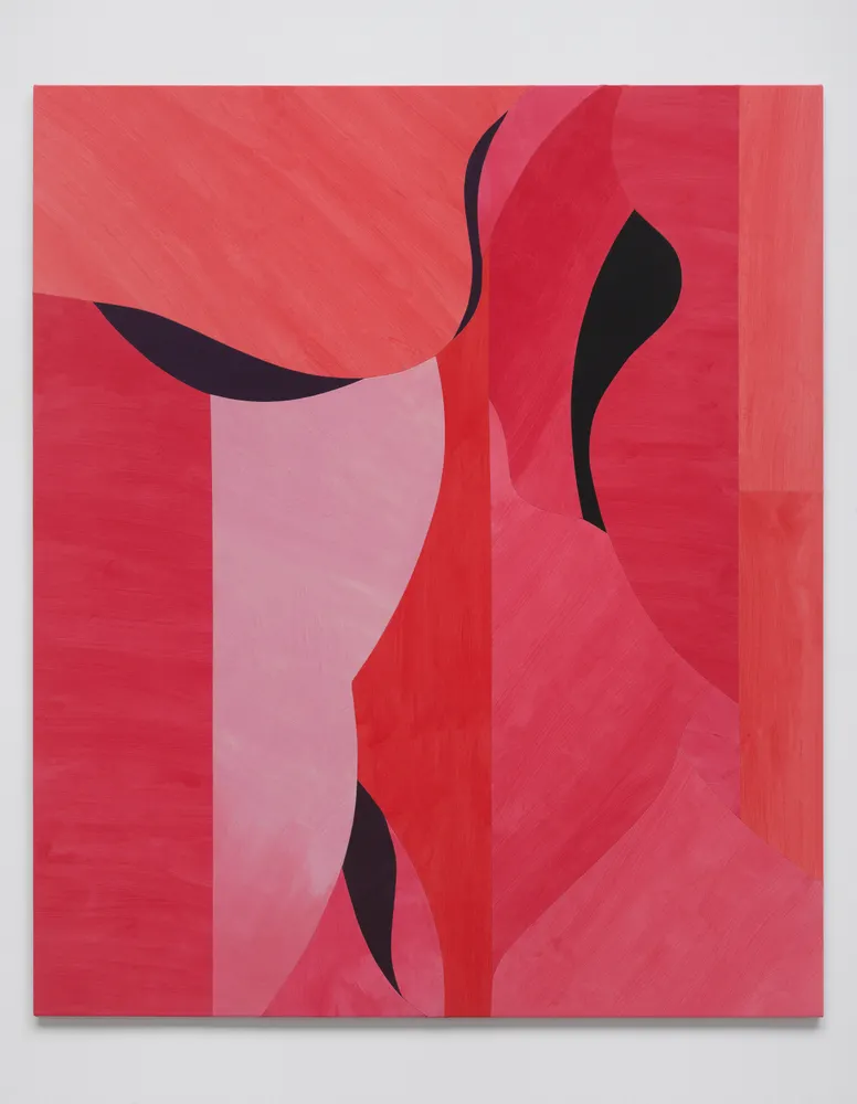 Sarah Crowner, Post Pastoral Pinks