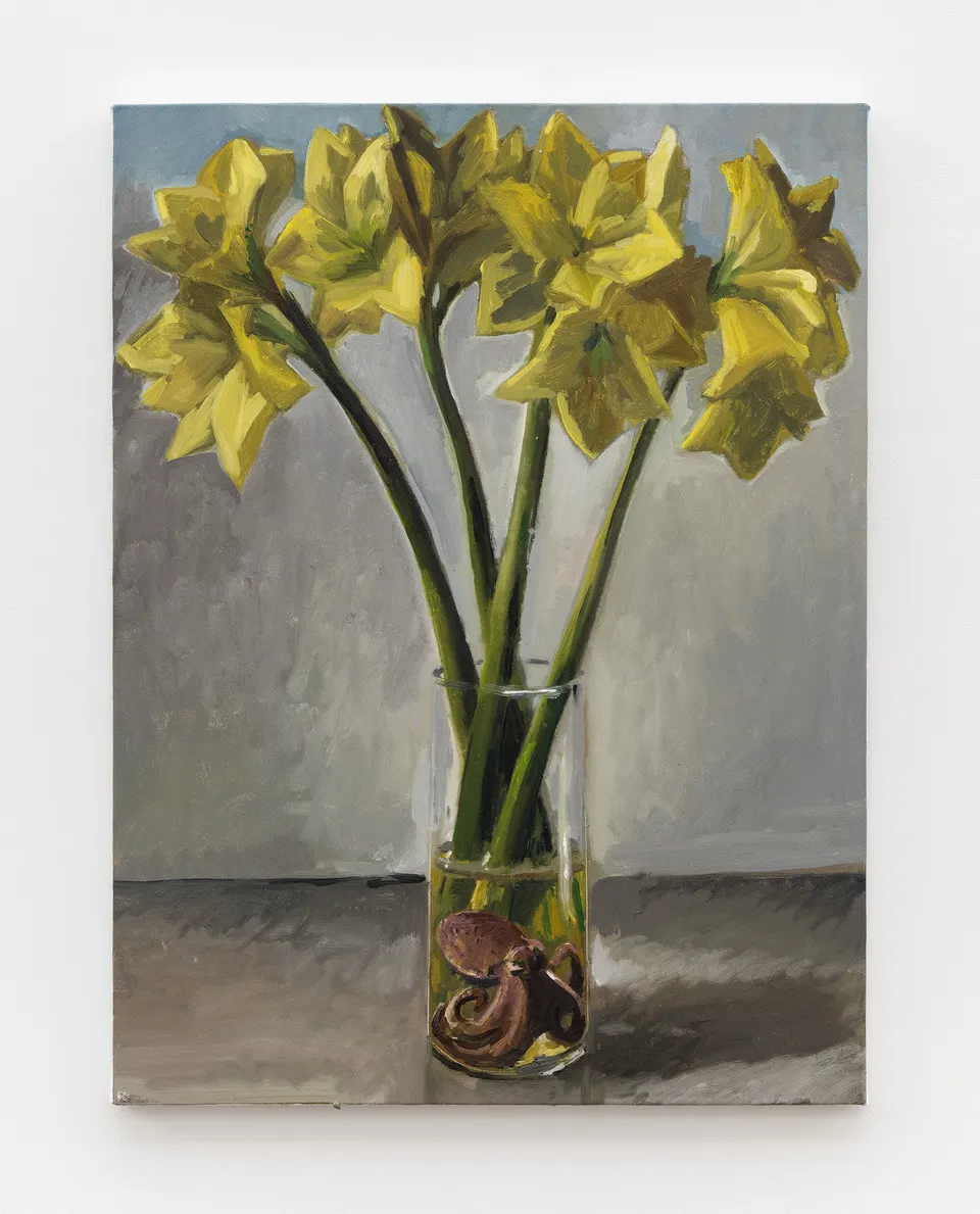 Charles Hascoët, Amaryllis