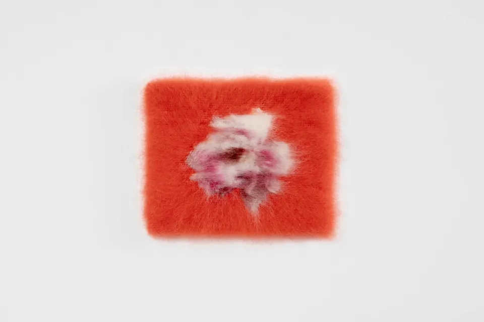 Maria Szakats, Pivoine III