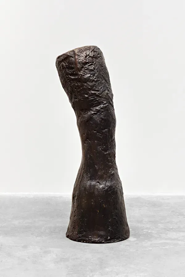 Adriano Costa, Pata de elefante