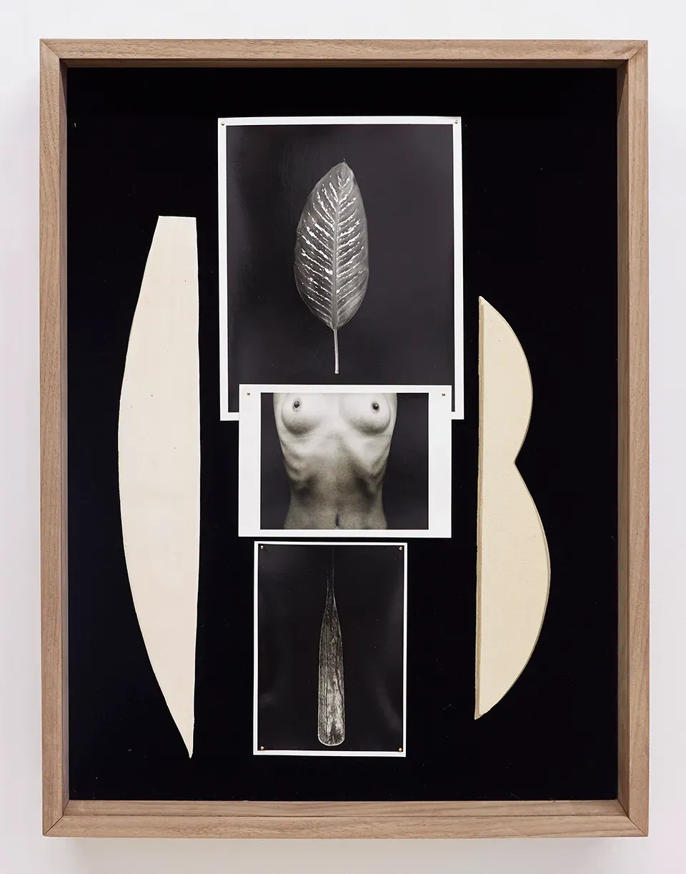 Sheree Hovsepian, Daybook
