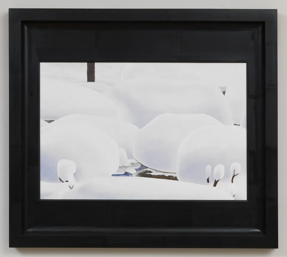 Neil Jenney, North America Depicted