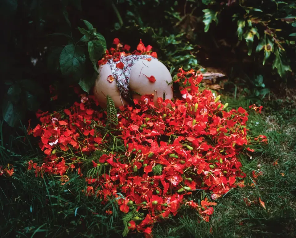 Naomi Fisher, Assy Flora Suite of 3