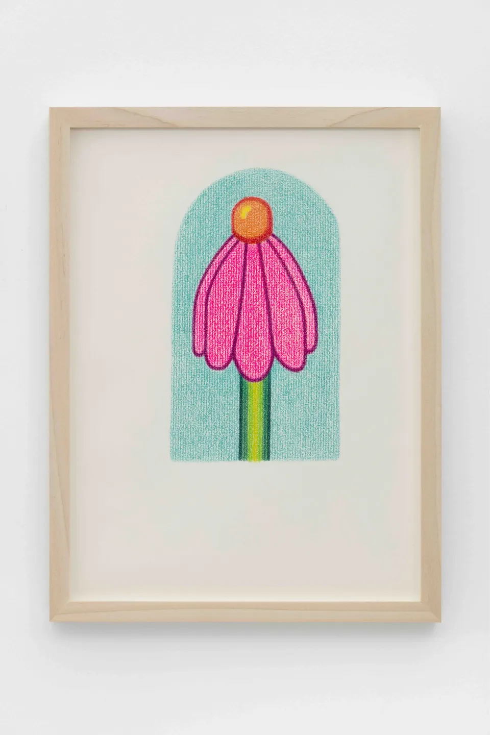 Dianna Molzan, Echinacea