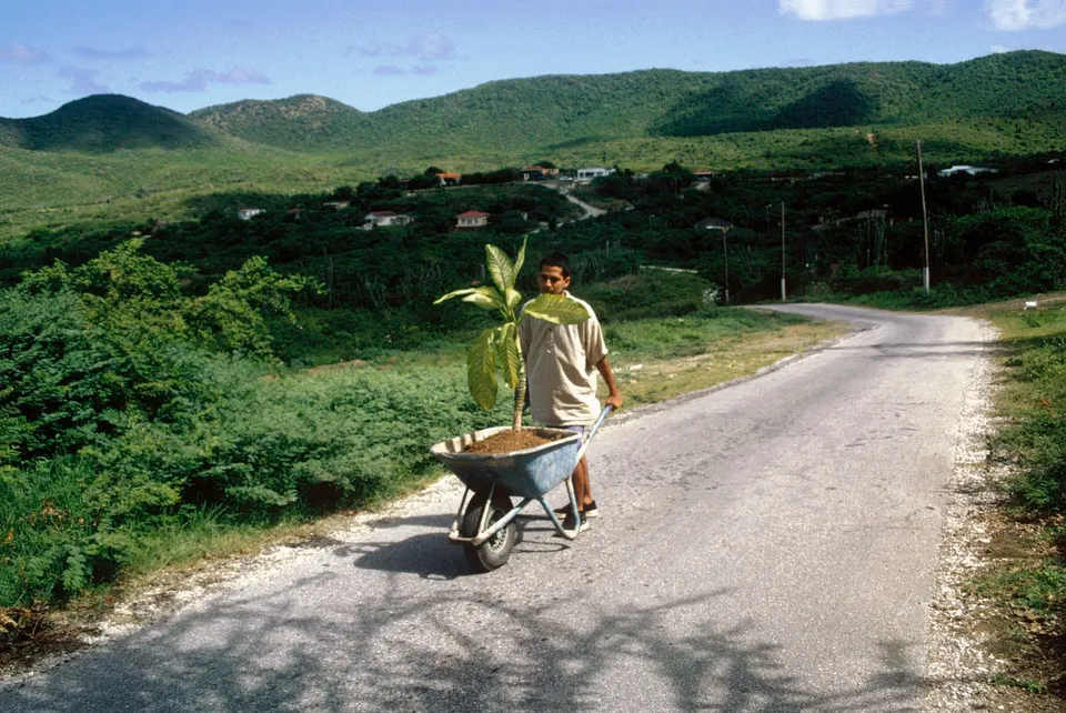 Wilfredo Prieto, walk