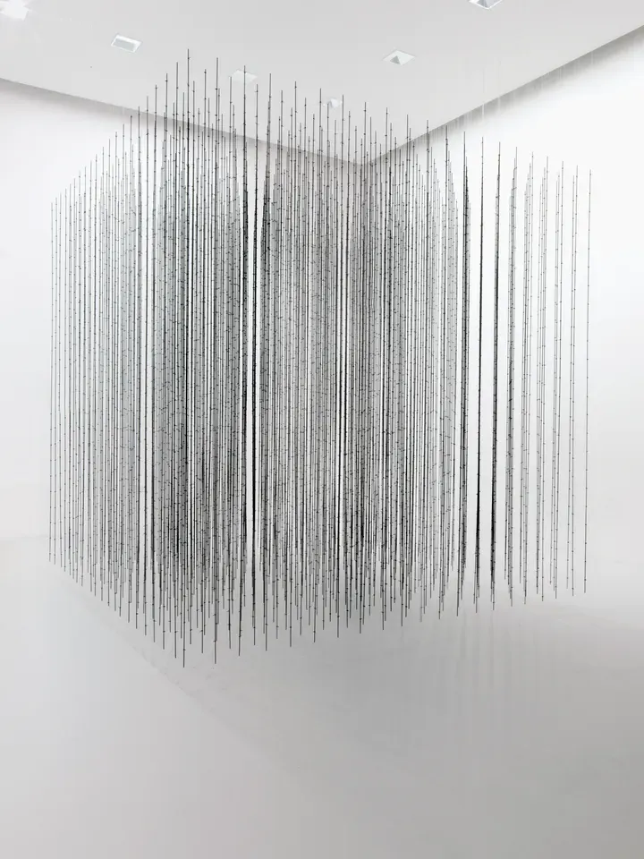 Mona Hatoum, Impenetrable
