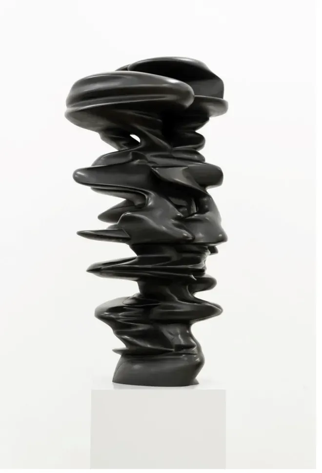 Tony Cragg, Level Head III