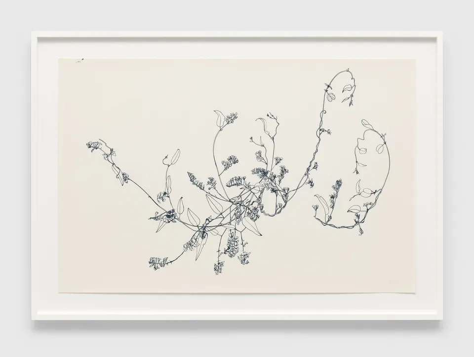 Ruth Asawa, Untitled (PF.599, Vines with Leaves and Flowers)