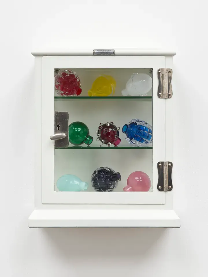 Mona Hatoum, Still Life (medical cabinet) VII