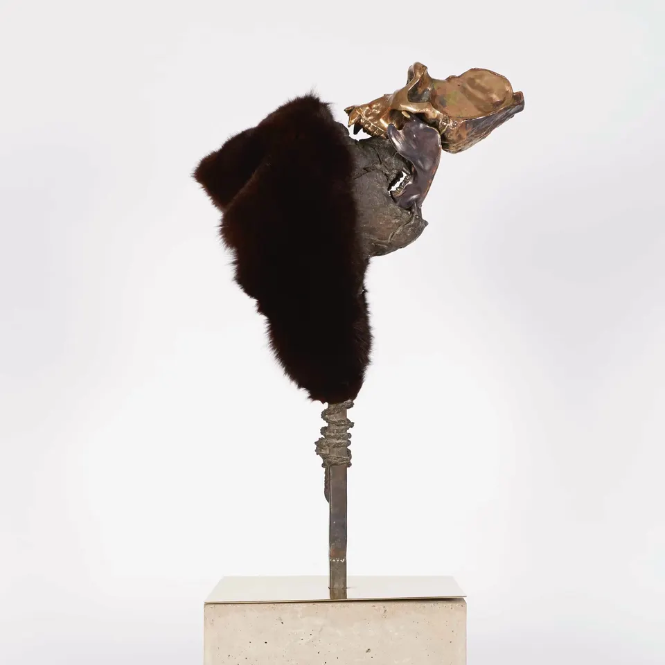 Bharti Kher, Girl boy