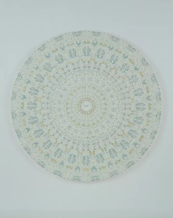 Damien Hirst, Piety