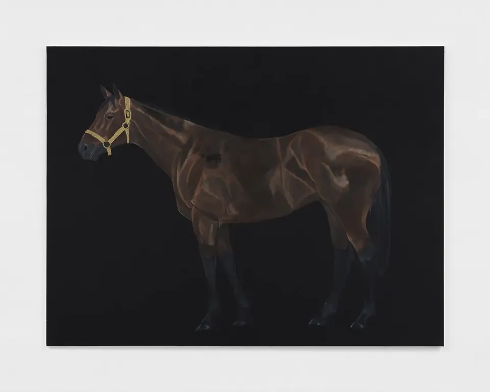 Jammie Holmes, Black Horse