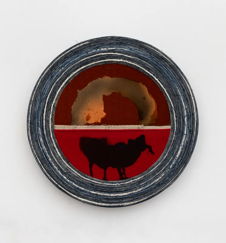 Elaine Stocki, Janus/S