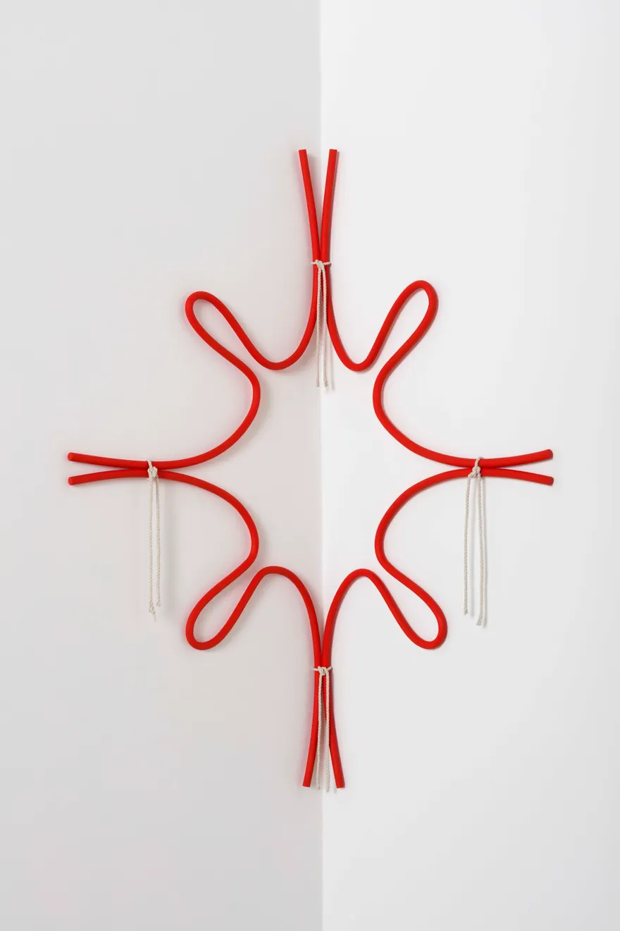 Ricky Swallow, Corner Form with Rope (Pulled Star)