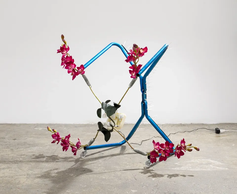 Rachel Youn, Endure