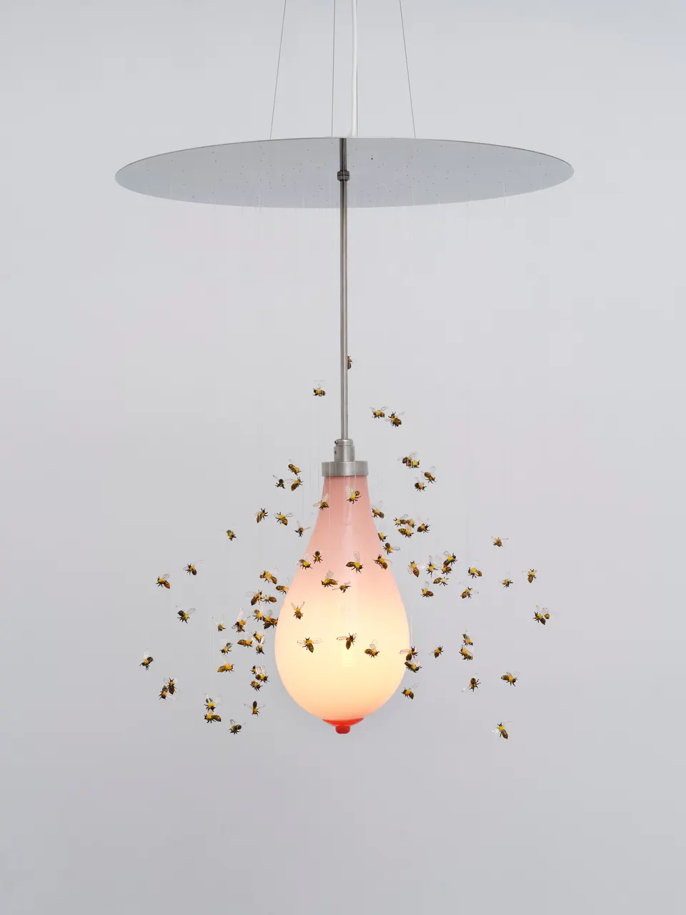 Laure Prouvost, Hive seen you