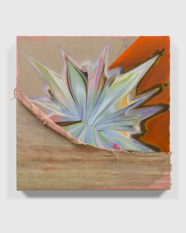 Elaine Stocki, Shroud for a Shooting Star