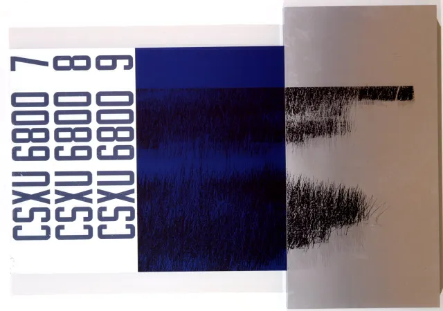 ROBERT RAUSCHENBERG, Sawgrass Memory (Transom)