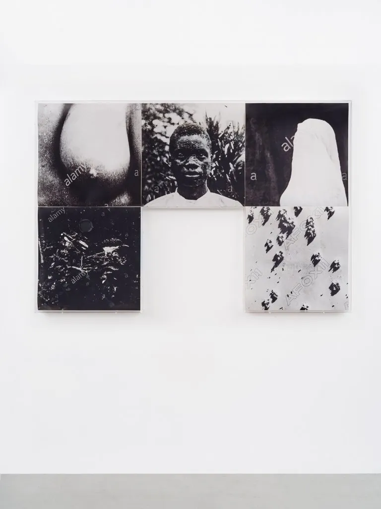 Frida Orupabo, Fragments II