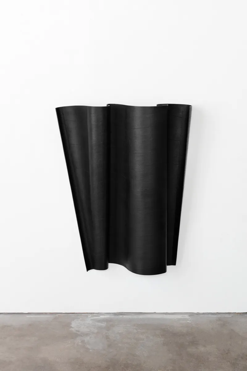 Ricky Swallow, Flag/Tipped (soot)